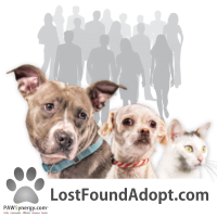 Lost~Found~Adopt Your Name