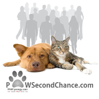 PAWSecondChance Your Name